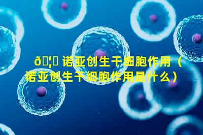 🦄 诺亚创生干细胞作用（诺亚创生干细胞作用是什么）